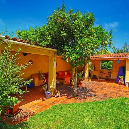 לינה וארוחת בוקר מם מרטינס Lugar Saloio Sintra מראה חיצוני תמונה